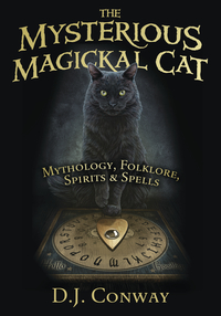The Magickal Mysterious Cat