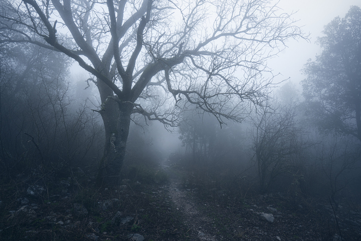 Haunted Forest