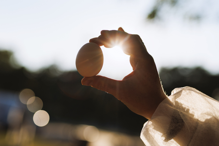 Hand Holding Egg for Limpia