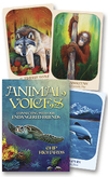 Animal Voices Oracle