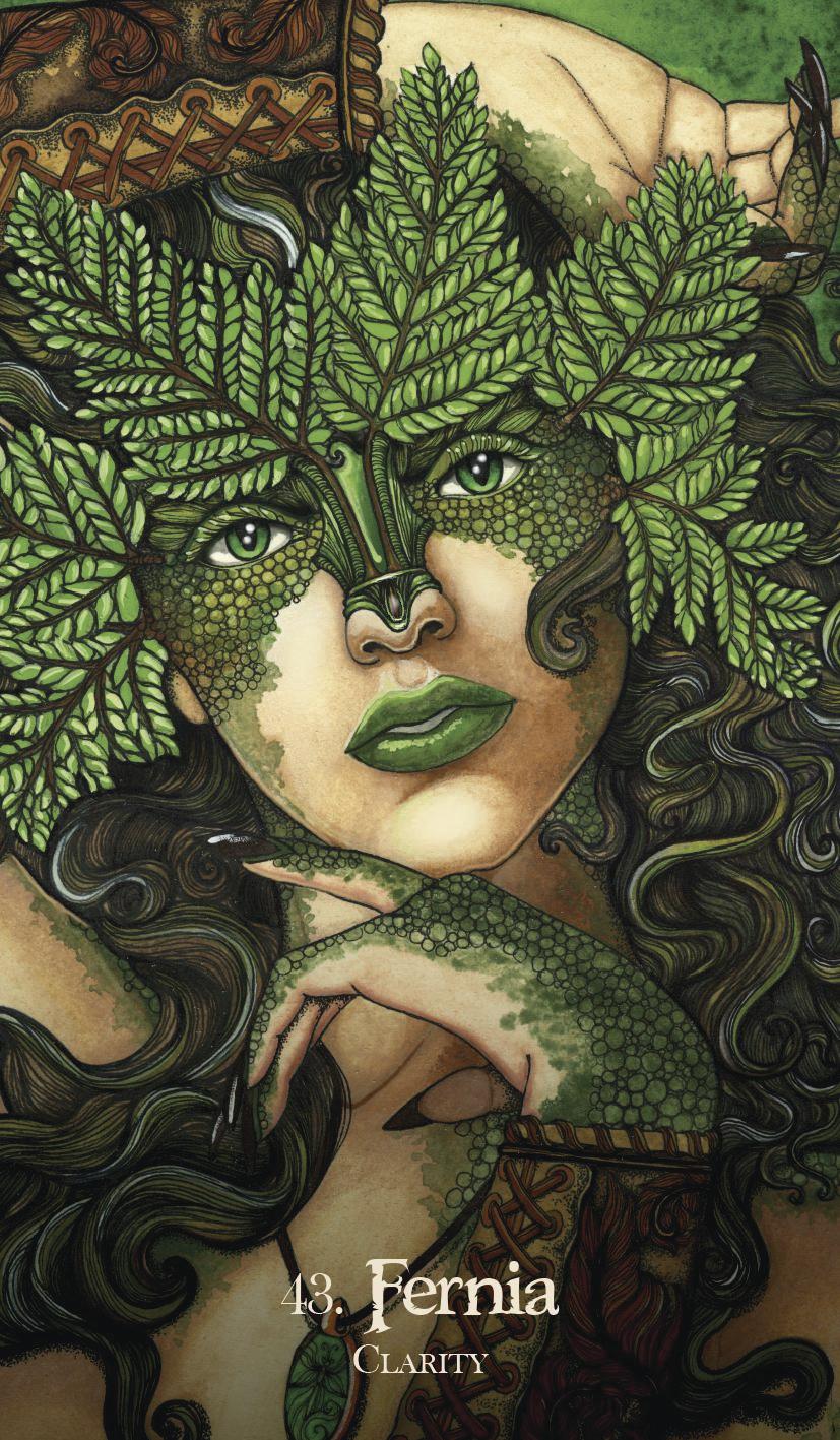 Oracle of the Dragonfae | Llewellyn Worldwide, Ltd.