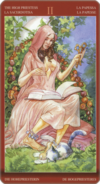 Sexual Magic Tarot | Llewellyn Worldwide, Ltd.